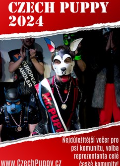 Czech Puppy Contest 2024