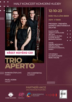 Malý koncert komorní hudby
