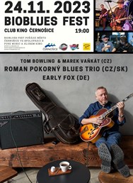Bio Blues fest
