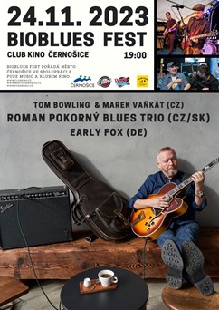 Bio Blues fest