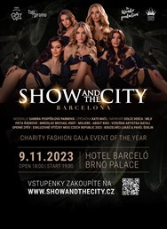 Show and the City: Charity gala event