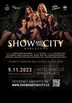 Show and the City: Charity gala event