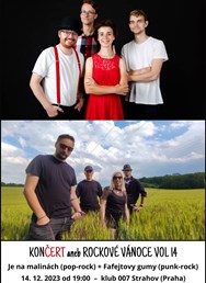 Končert aneb Rockové vánoce vol 14