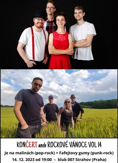 Končert aneb Rockové vánoce vol 14