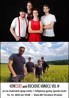 Končert aneb Rockové vánoce vol 14