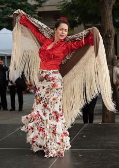 Etno Brno 2023 - Día del Flamenco