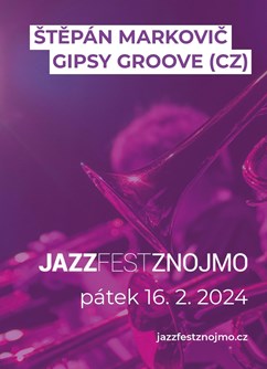 Štěpán Markovič Gipsy Groove (CZ)