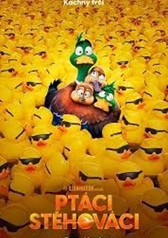 Ptáci stěhováci (USA)  2D
