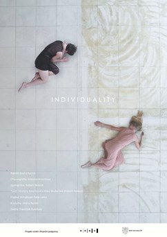 INDIVIDUALITY