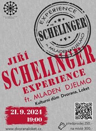 Jiří Schelinger EXPERIENCE
