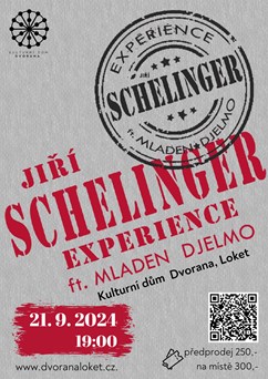 Jiří Schelinger EXPERIENCE