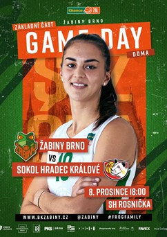 Chance ŽBL: Žabiny Brno - Sokol Hradec Králové