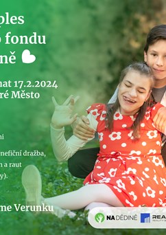 Benefiční ples Nadačního fondu LOVE Dědině