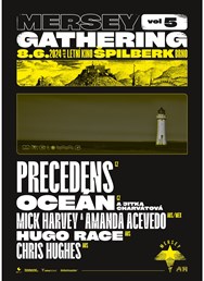 Mersey Gathering vol. 5