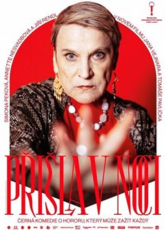 Vinohradský film "Přišla v noci"