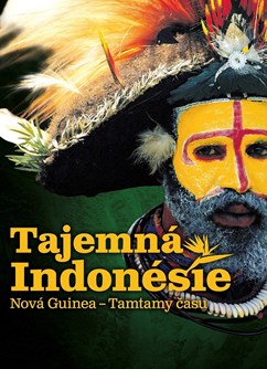 Výstava Tajemná Indonésie, Tamtamy času - Nová Guinea