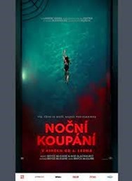Noční koupání (USA)  2D