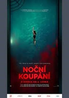 Noční koupání (USA)  2D