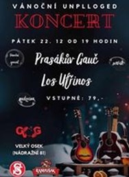 Vánoční unplugged koncert