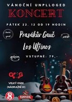 Vánoční unplugged koncert