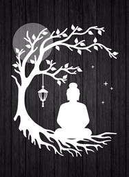 Buddha odpoledne