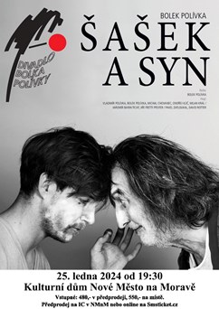 Šašek a syn