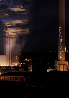 Zvěřinové nehody 2024