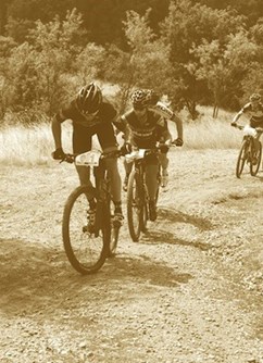 MTB Rochus (2 kola)