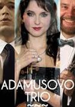 Adamusovo trio 