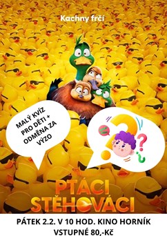 Ptáci stěhováci