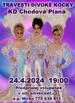 travesti show Divoké kočky