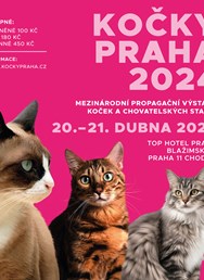 Mezinárodní propagační výstava Kočky Praha 2024