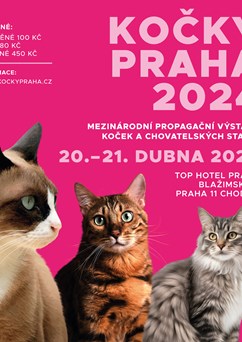 Mezinárodní propagační výstava Kočky Praha 2024