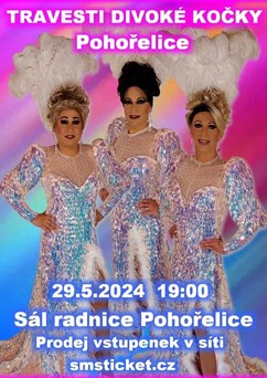 Travesti Divoké kočky
