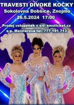 travesti Divoké kočky