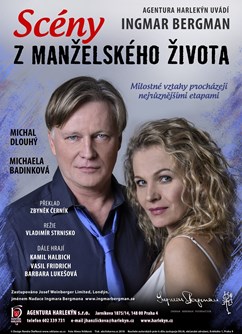 Agentura Harlekýn - I. Bergman: Scény z manželského života