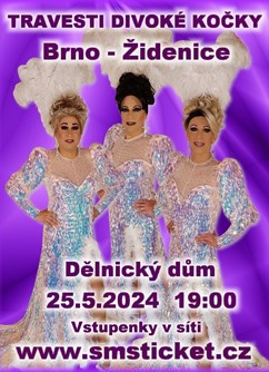 Travesti Divoké kočky