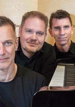 Walter Fischbacher Trio hraje Beatles (USA/D/CZ)