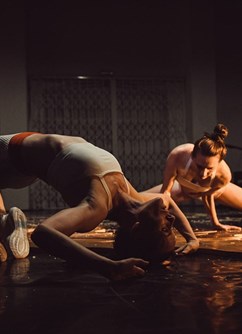 Martina Hajdyla, Eliška Brtnická, Jana Stárková: TREMULA 