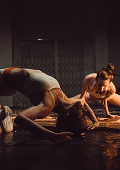 Martina Hajdyla, Eliška Brtnická, Jana Stárková: TREMULA 