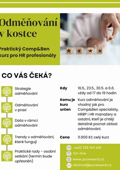 Odměňování v kostce