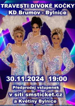 Travesti show Divoké kočky v Brumově - Bylnici