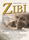 ZIBI - Časosběrný dokument o Zbigniewu Czendlikovi
