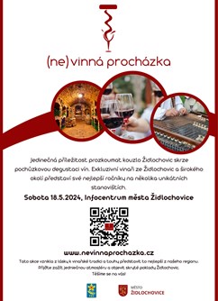 (ne)vinná procházka v Židlochovicích