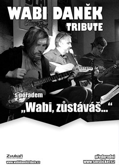 Koncert Wabi Daněk Tribute