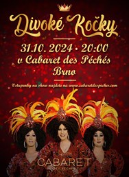 Travesti show - Divoké kočky