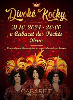 Travesti show - Divoké kočky