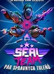 Seal Team: Pár správných tuleňů