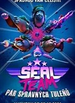 Seal Team: Pár správných tuleňů