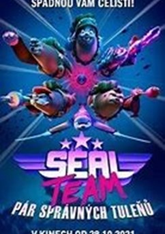 Seal Team: Pár správných tuleňů